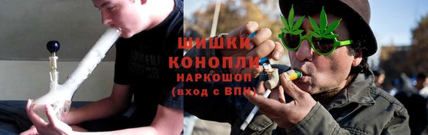 гашик Богданович