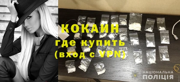 гашик Богданович