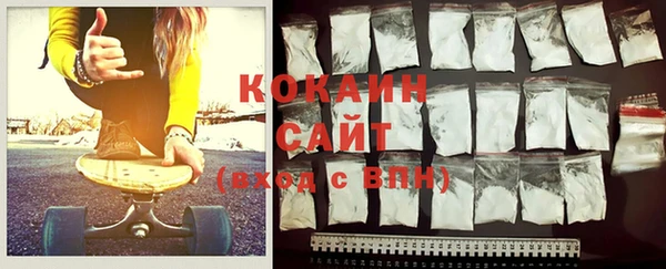 гашик Богданович