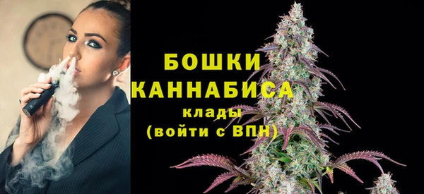 гашик Богданович