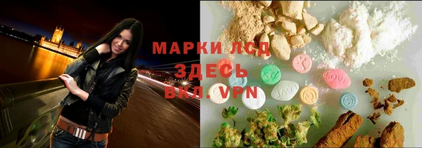 гашик Богданович
