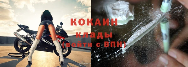 гашик Богданович