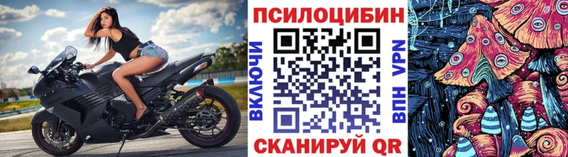 купить закладку  мориарти официальный сайт  Галлюциногенные грибы мицелий  Няндома 